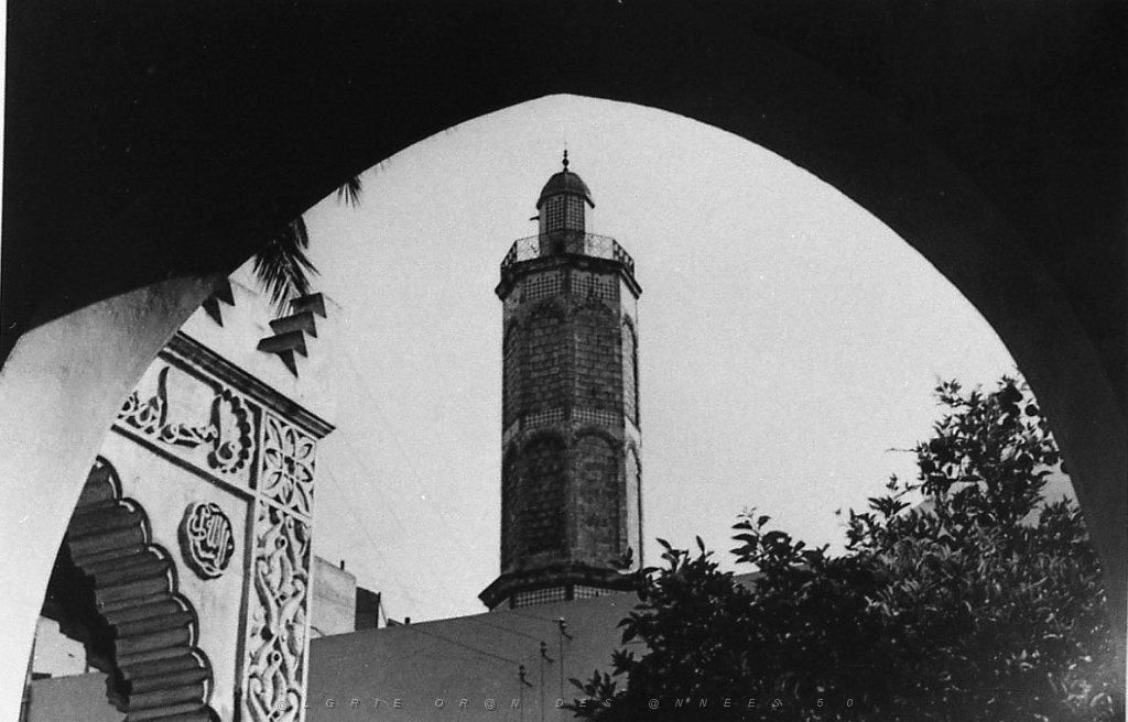 ORAN 02410.jpg